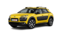 C4 CACTUS