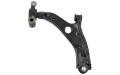 Lower Control Arm (Passenger Side / Rear)